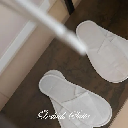 Orchids Apartment Bari