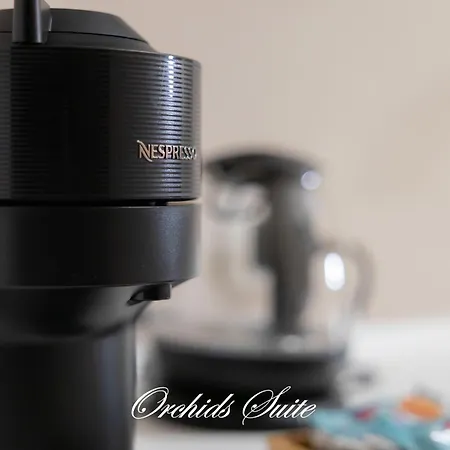 Διαμέρισμα Orchids